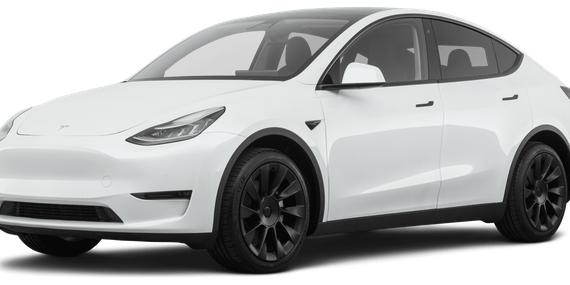 TESLA MODEL Y 2021 5YJYGDED8MF181728 image